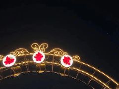 -武汉知音号