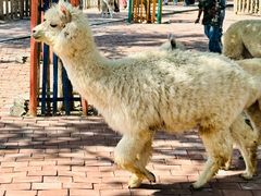 -水上乐园·欢乐世界