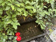 -都氏家DUSJOY(翡翠城店)