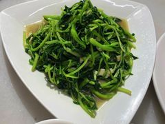 鸡毛菜-华盛丰温州大排档(东三环南路店)