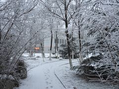 -南开大学滨海学院