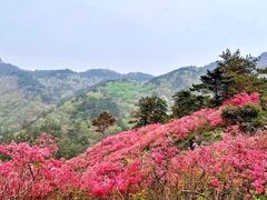 -木兰云雾山