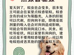 -贝利宠物医院·骨科·眼科·肿瘤转诊中心(南坪诊疗中心)