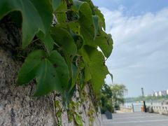 -相门城墙文化休闲景区