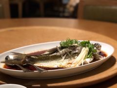 钱湖四宝-朋鱼-宁波柏悦酒店·钱湖渔港