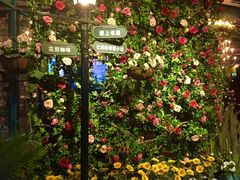 -i尚花田电影小镇