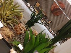 -OUR Bakery(SKP-S店)