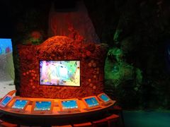 -沈阳海洋探索中心