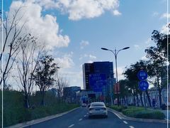 -春花秋色城市公园