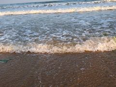 -大锅强·蒸海鲜青岛菜(吾悦广场店)