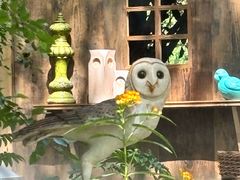 -上海鲜花港