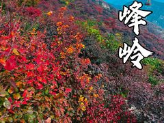 -坡峰岭