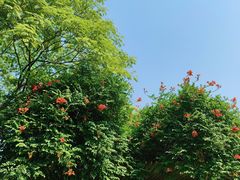 -海文实验幼儿园