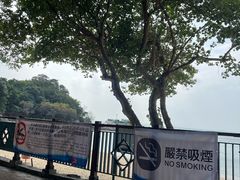 -南丫岛
