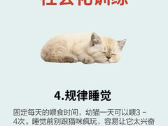 -lincat·猫舍(广州店)