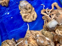 -三亚火车头万人海鲜广场