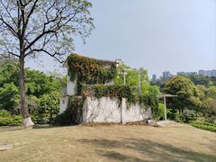 -广西壮族自治区药用植物园