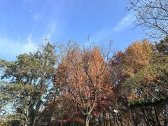 -虞山风景区