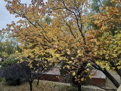 -森林公园(尖草坪区)