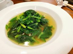 山泉水高山豆苗-茹·pure vegan(博华广场店)
