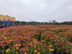 -同里国家湿地公园