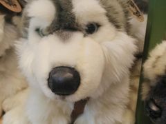 -Behring World of Animals(上海自然博物馆店)