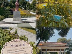 -广东中医药博物馆