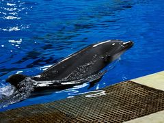 -华夏文旅西安度假区