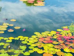 -国家植物园南园