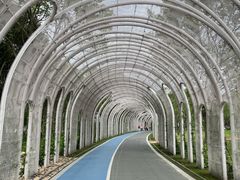 -渤公岛生态公园