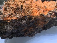 -湖南省地质博物馆