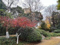 -徐州博顿温德姆酒店(高铁东站店)