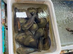 -霞涌市场海鲜摆卖区