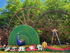 -呀路古热带植物园