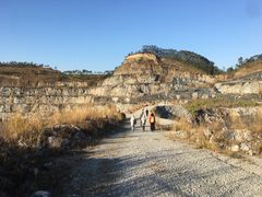 -黄埔油麻山森林公园