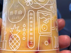 -野萃山·潮汕厚果汁(十亩地店)