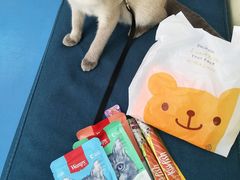 -佳怡动物医院·平价24小时·猫专科骨外科