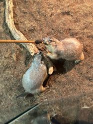 -Zoolung Zoolung动物主题公园(海信广场店)