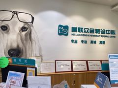 -美联众合动物医院·24h转诊中心
