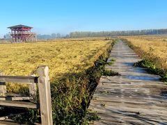 -陆地游轮吉林神农温泉