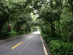 -南京东郊国宾馆