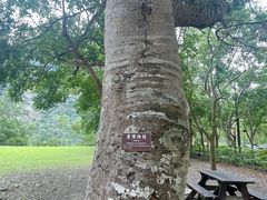 -太鲁阁公园