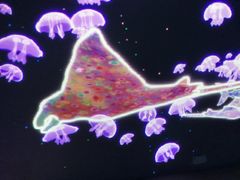 -暹罗海洋世界