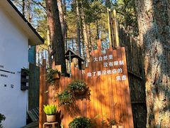 -四明山国家森林公园
