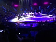 -珠海横琴长隆《卡卡虎奇遇记》