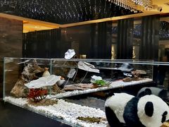 -红辣椒·川菜·火锅(张杨路店)