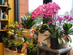 -杭州街角花屋花店(闻堰店)