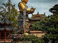 -上海东林寺(金山区)