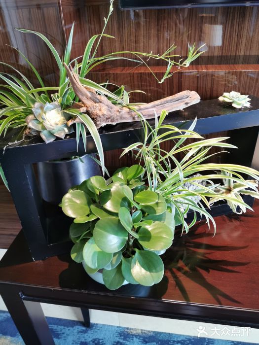 北京四季酒店图片