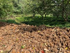 -敬亭山风景名胜区